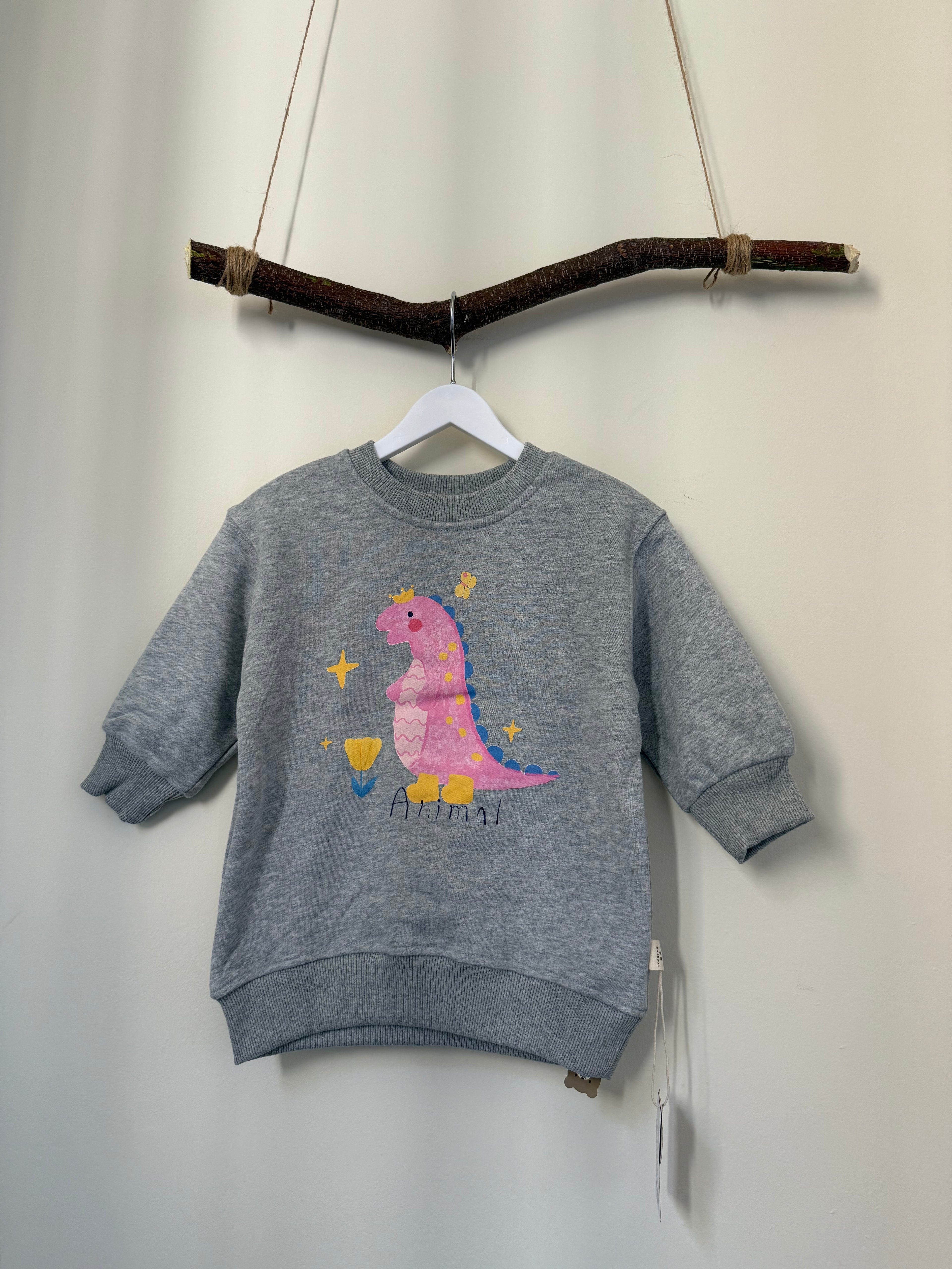Thick Kids Fleece Sweatshirt