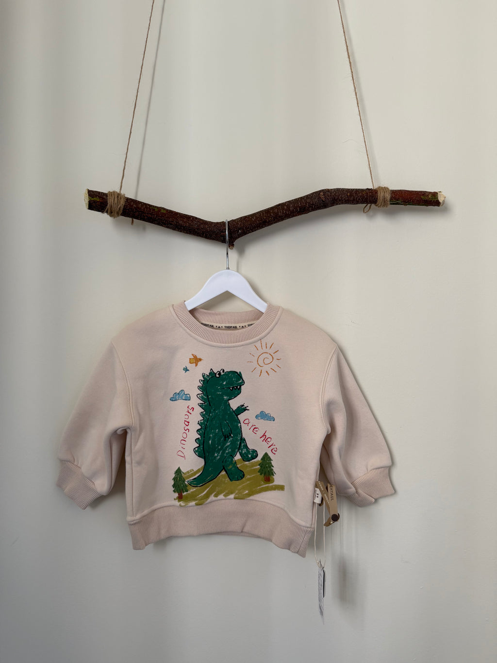 Kids' Dinosaur Fleece Sweatshirt