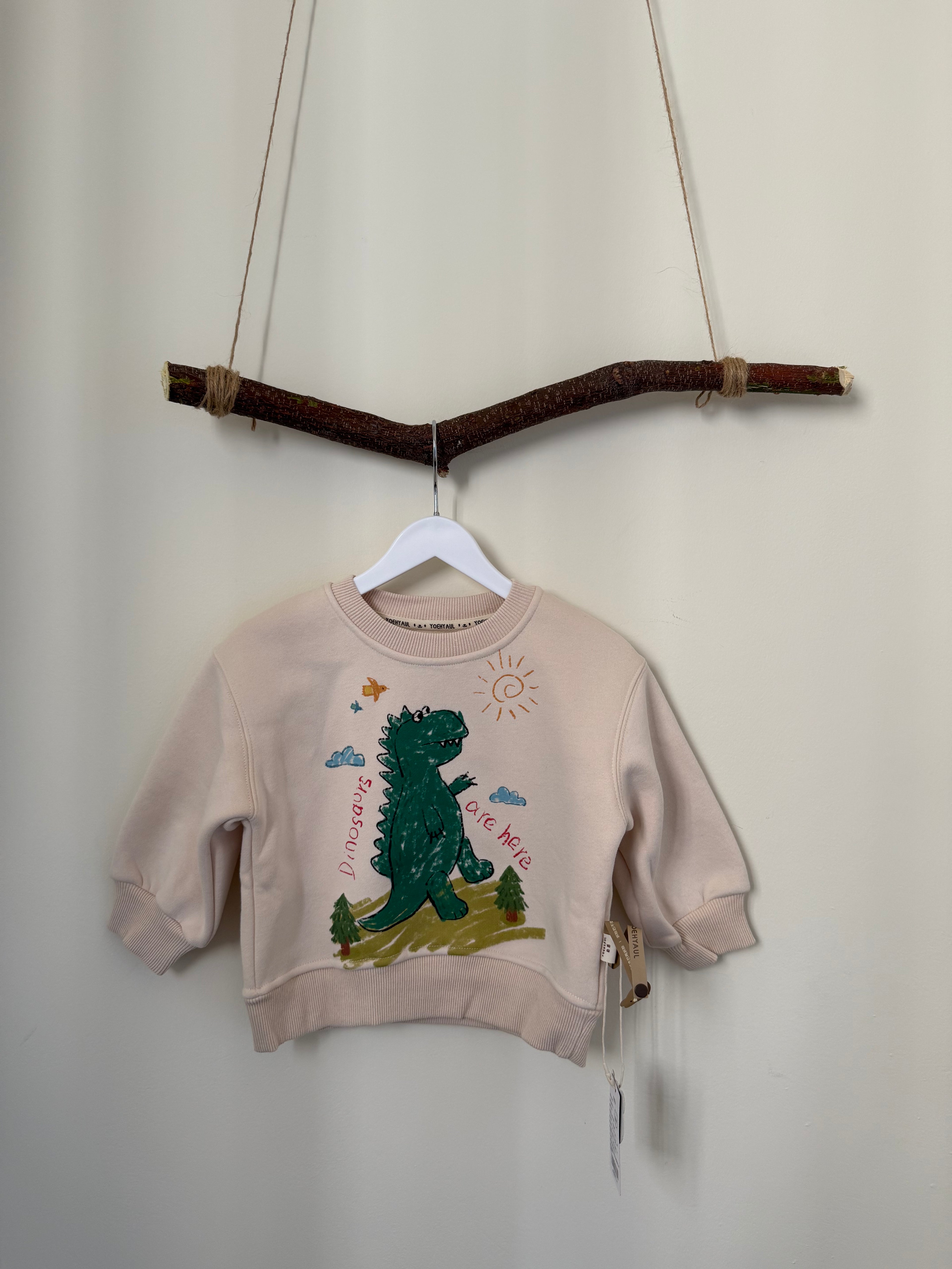 Kids' Dinosaur Fleece Sweatshirt