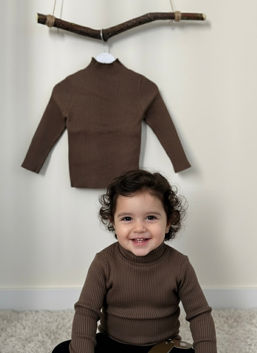 Slim Fit Turtleneck Sweater