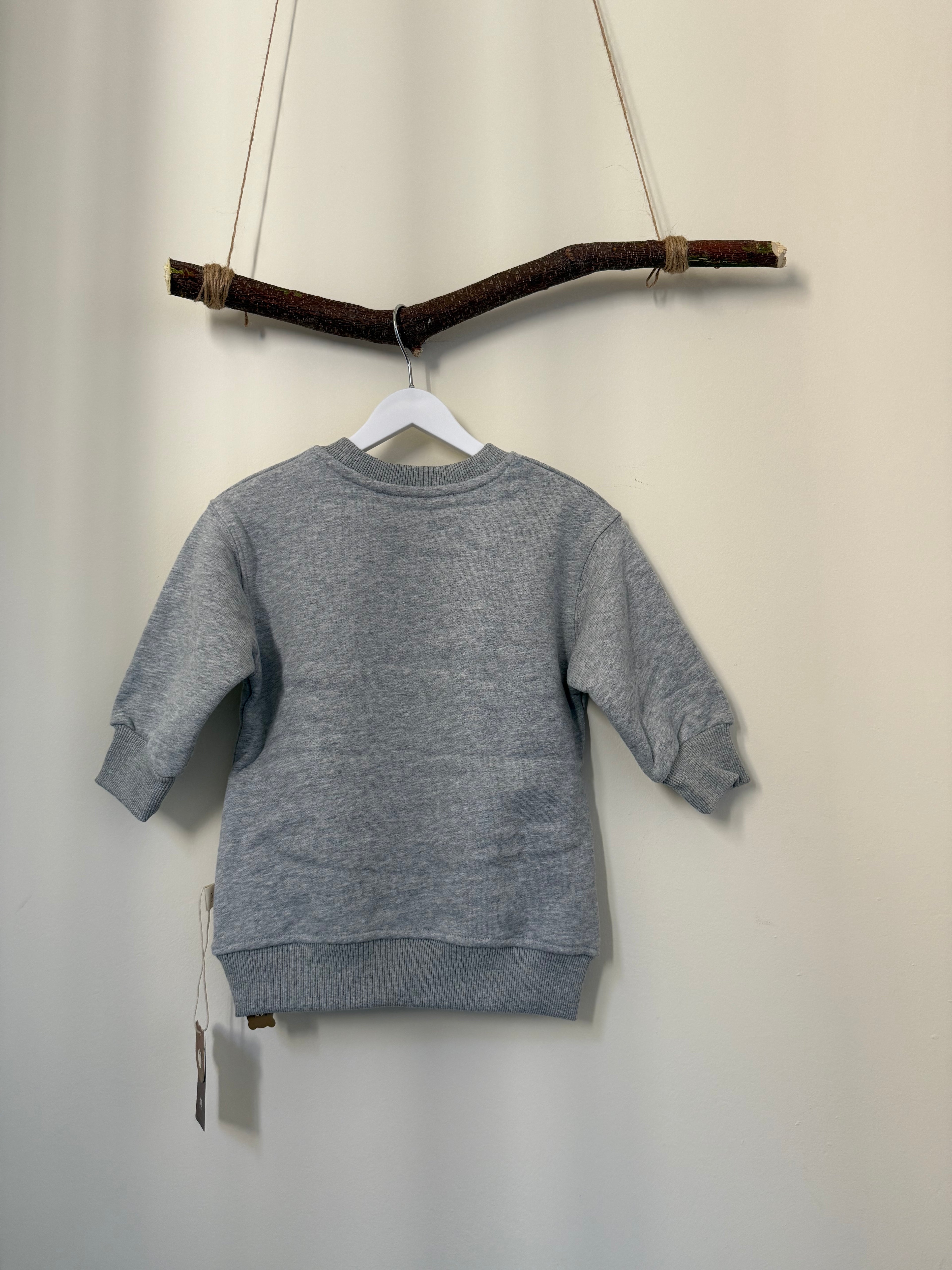 Thick Kids Fleece Sweatshirt